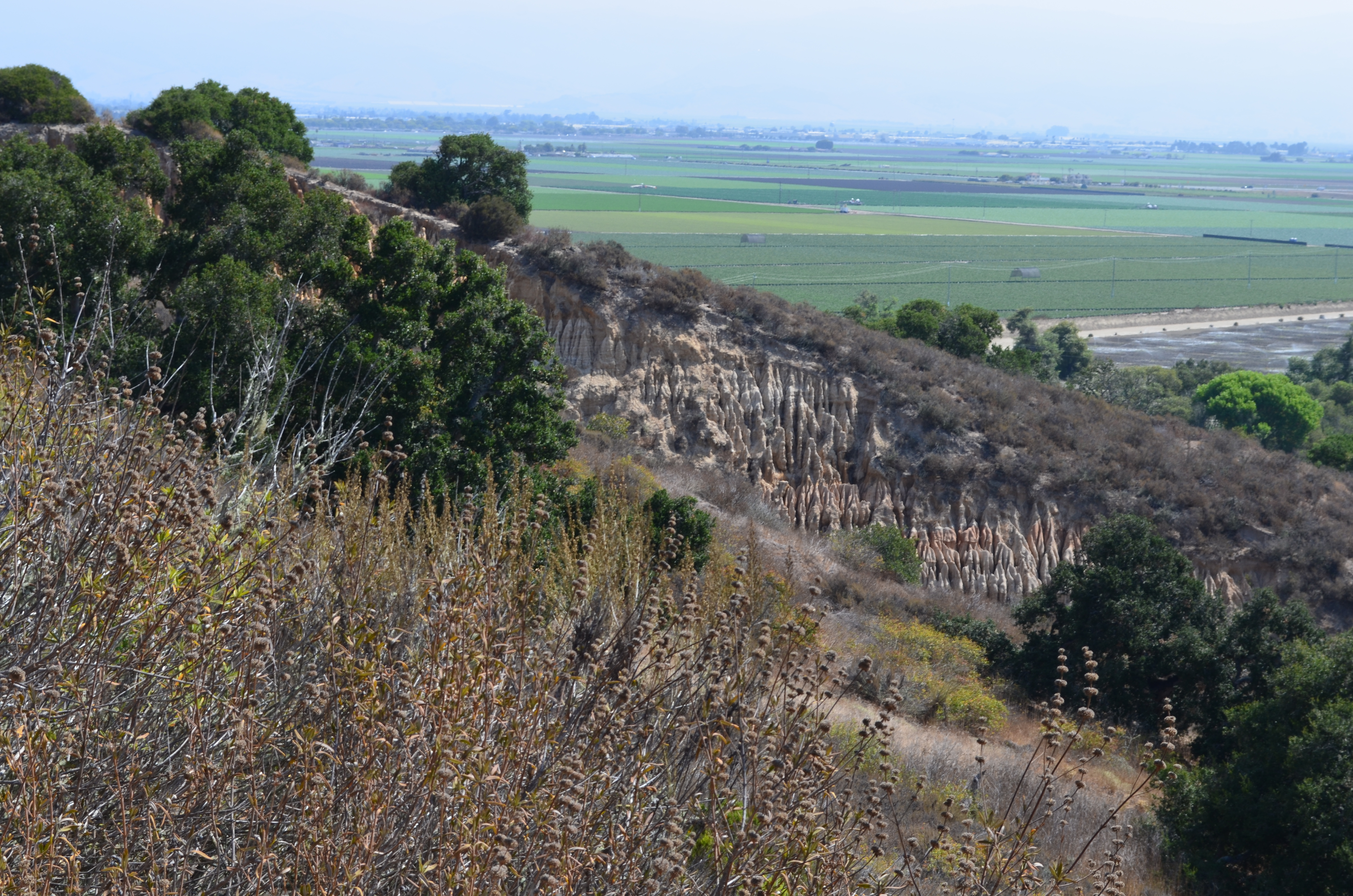 ./2018/09 - San Francisco/ASC_0434.JPG